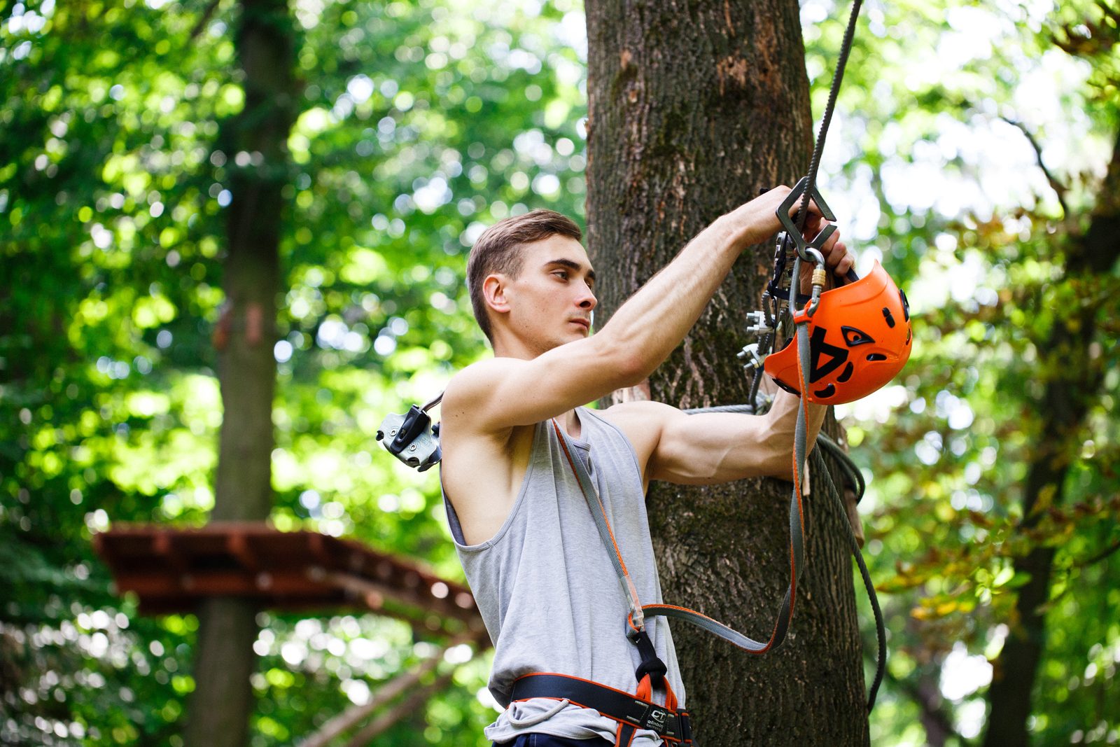 Arborist securing climbing gear on a tree trunk while holding a helmet