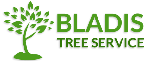 Bladi's Tree Service logo
